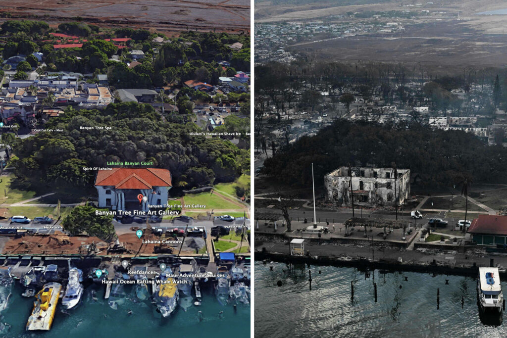 Two images side by side showing before and after the wildfires on Maui. The left image is an aerial view shows historic Lahaina town in western Maui, with its historic banyan tree at center, before wildfires razed the area. The right image is an aerial view that shows the iconic banyan tree along with destroyed homes, boats, and buildings burned to the ground in the historic town of Lahaina in the aftermath of wildfires on western Maui on August 10.