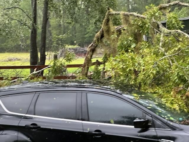 A tree branch sits on top of a parked car due to Hurricane Debby's damage. Leaves, smaller branches, and a small fallen tree litter the area around and behind the vehicle. Photo credit: Beth Meyer.